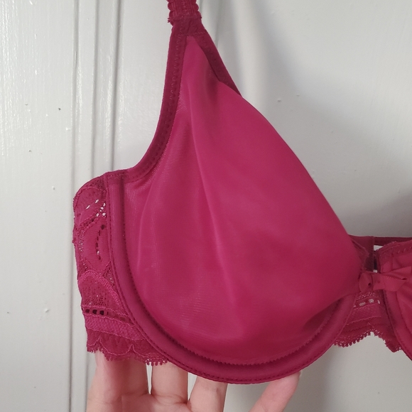 Lou-paris Grenat Bra - Picture 3 of 5